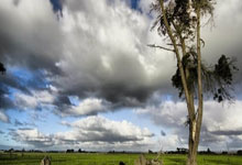 爱游戏体育：重返三狮军团！34岁亨德森本赛季为阿贾克斯出战39次贡献6次助攻.